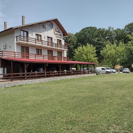 Pensiunea Larysse Băile Felix Exterior foto
