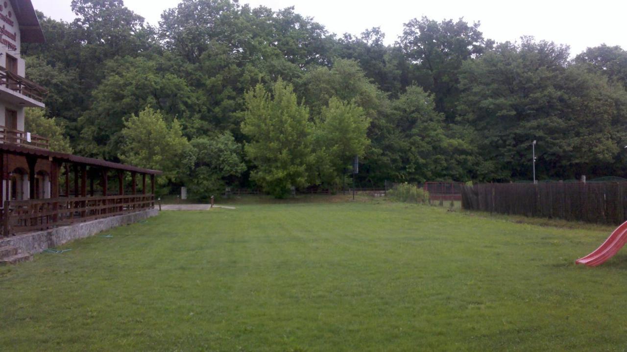Pensiunea Larysse Băile Felix Exterior foto