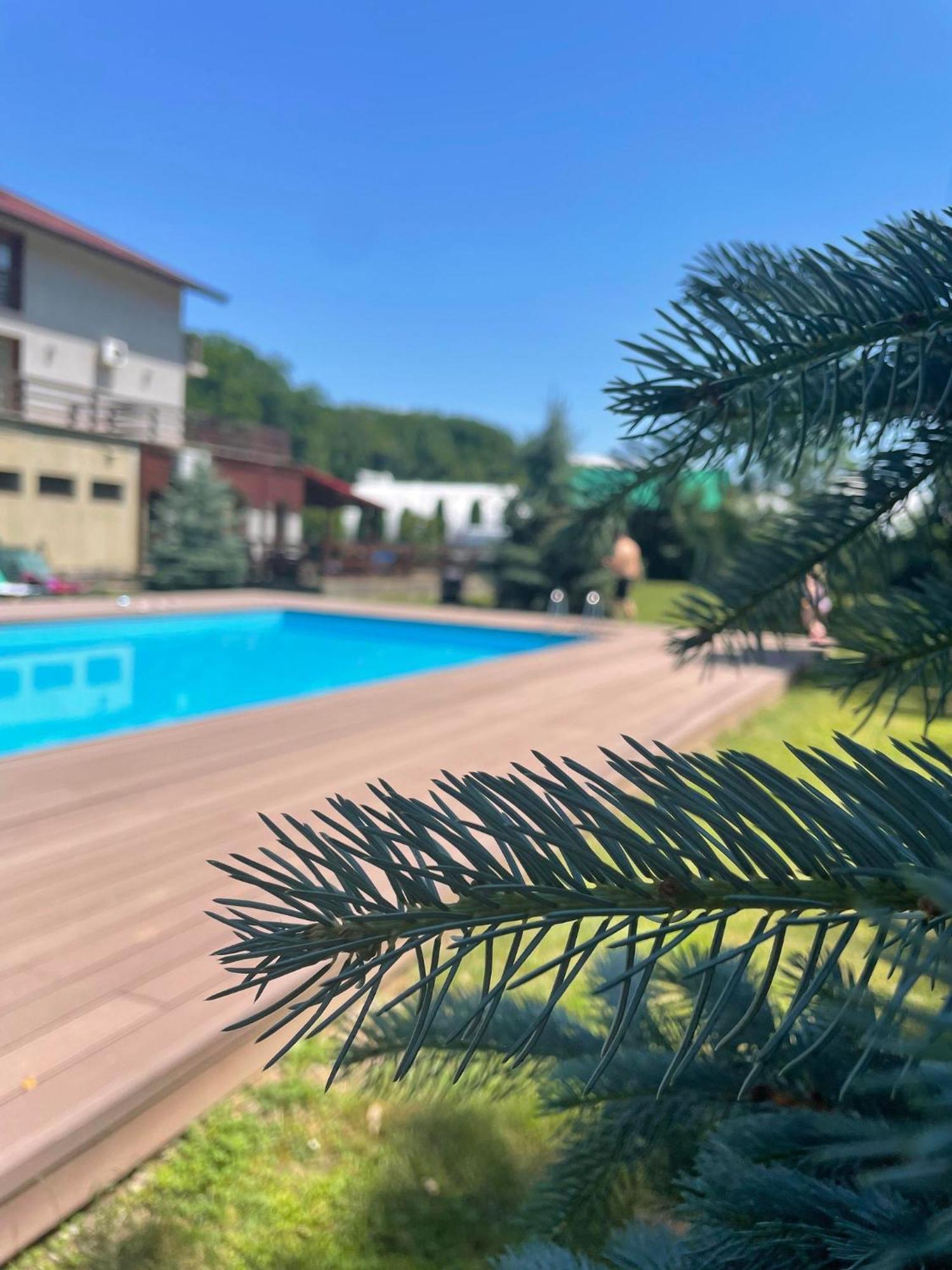 Pensiunea Larysse Băile Felix Exterior foto